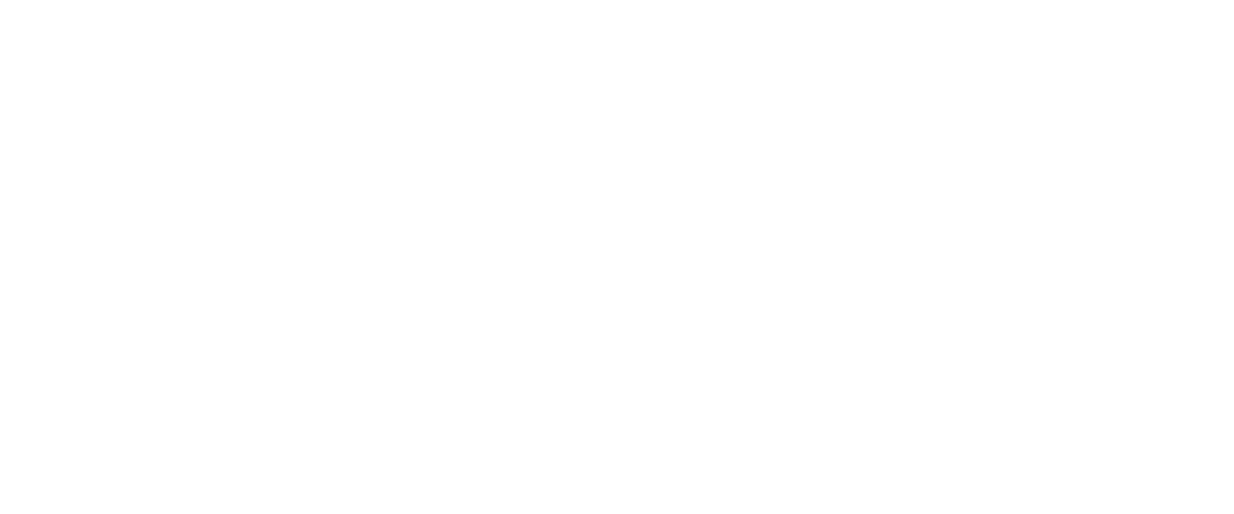 CIN Logo